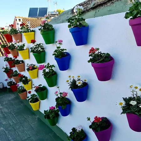 Hostal Funky By Arc House Guest house Cordoba