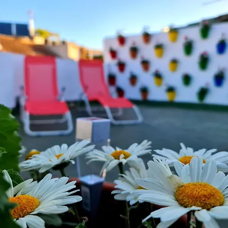 Hostal Funky By Arc House Guest house 2*